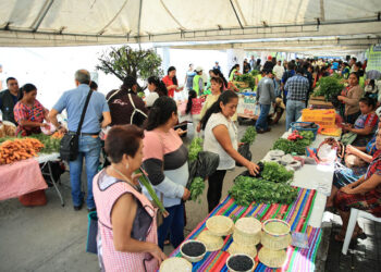 Feria del Agricultor favorece economía de las familias de Fraijanes