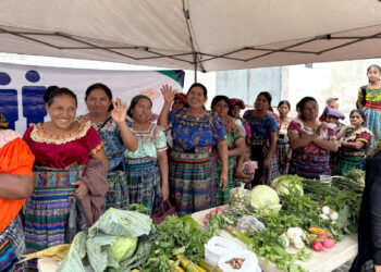 Feria del Agricultor impulsa economía local y fortalece producción