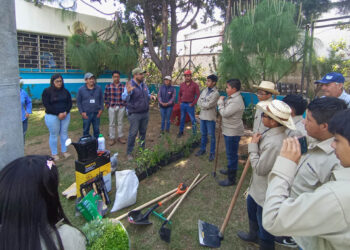 Fortalecen la alimentación saludable desde el aula con huerto escolar en Quetzaltenango