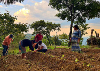 Huerto comunal fortalece la alimentación y el rol de las mujeres en la agricultura familiar