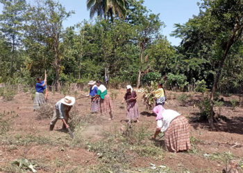 Huerto comunitario beneficiará a 20 familias de la comunidad Choctun Basila, Cobán