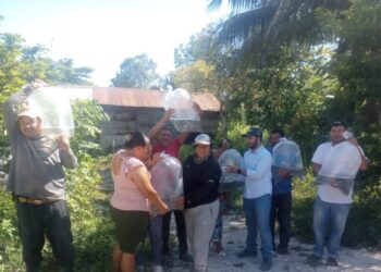 Entregan alevines para impulsar producción acuícola en Santa Ana