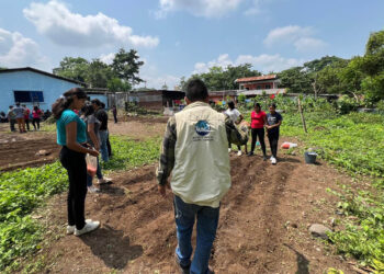 Implementan huerto escolar con fines pedagógico en Samayac, Suchitepéquez