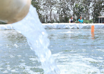 Impulsan acciones para el uso sostenible del agua