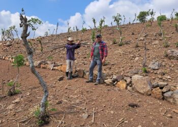 Impulsarán prácticas de agricultura regenerativa en Chiquimula y Zacapa