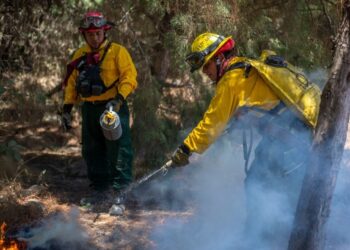 Héroes del bosque, honramos a los combatientes de incendios forestales