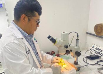 La Sanidad Vegetal la garantizan los diagnósticos de laboratorio