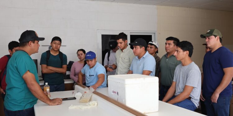 Laboratorio Genético impulsa el mejoramiento del ganado bovino en Petén