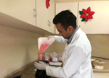 Laboratorio duplica análisis de semillas durante primer cuatrimestre del año
