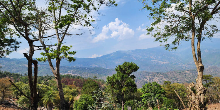 Las lluvias y las altas temperaturas persisten para la presente semana