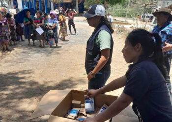 Más de 78 mil familias fortalecen su disponibilidad de alimentos con semillas de hortalizas