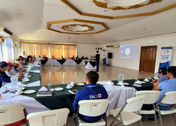 Mesa Agroclimática de Petén traza ruta para una agricultura más resiliente