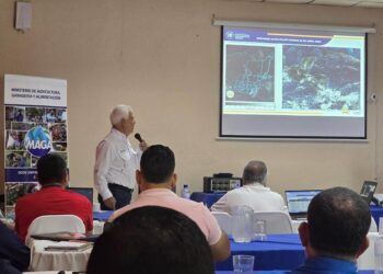 Mesa Técnica Agroclimática facilita toma de decisiones para el sector agropecuario