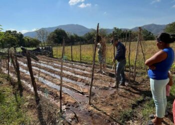 Mujeres de Las Jarretadas, Zacapa, cultivan progreso