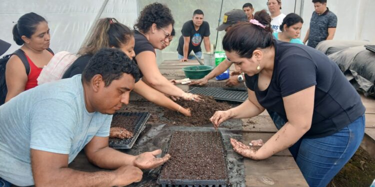 Productores de Retalhuleu aprenden cómo mejorar el rendimiento de cultivos de hortalizas