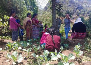 Realizan visitas de seguimiento y monitoreo en huertos comunales