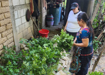 Se apoyan los emprendimientos agrícolas de Chuarrancho