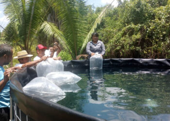 Se impulsa producción acuícola en Las Cruces