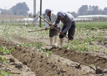 Sector agropecuario debe prepararse ante el inicio de la temporada lluviosa