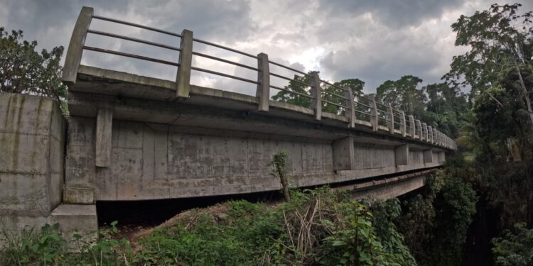 CIV anuncia reactivación de obras en el puente Ixtacapa en Suchitepéquez