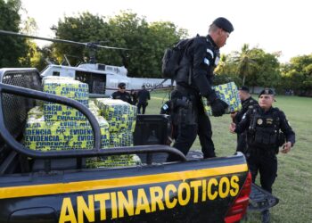Incautaciones al narcotráfico superan los Q500 millones en lo que va del año