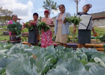 AGROVIDA en acción: mujeres cultivan, venden y ahorran para un mejor mañana