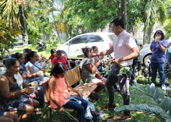 Yuca, malanga y camote, una dieta saludable para los niños