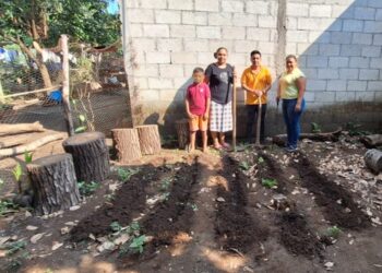 Impulsados 131 huertos familiares para combatir la desnutrición aguda