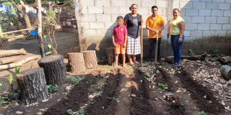 Impulsados 131 huertos familiares para combatir la desnutrición aguda