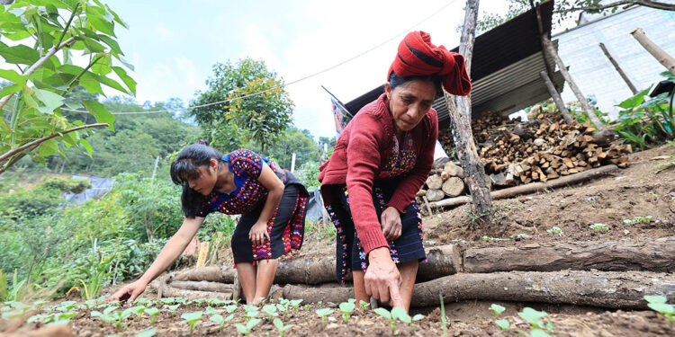 Declaran a La Florida, Huehuetenango,  “Comunidad Ejemplar” por su desarrollo