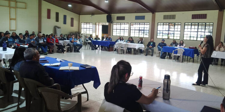 Del campo al aula: fortalecen vínculos entre agricultores y alimentación escolar