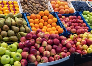 Día Nacional y Regional de las frutas: acciones garantizan sanidad vegetal