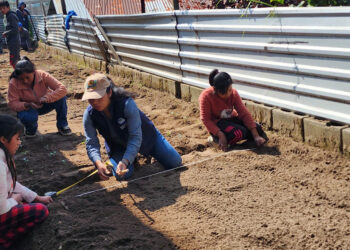 Alumnos de Totonicapán aprenden de agricultura en huerto escolar
