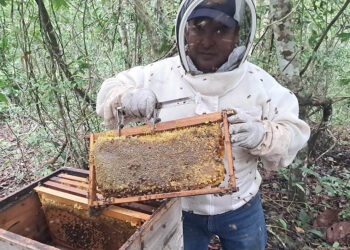 Apicultores de la zona de adyacencia reciben asistencia técnica