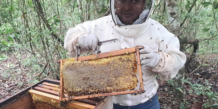 Apicultores de la zona de adyacencia reciben asistencia técnica
