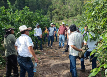 Avanza programa de capacitación para fortalecer la agricultura familiar
