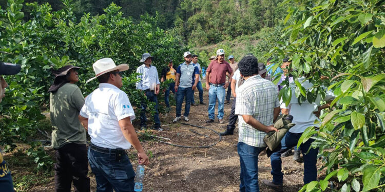 Avanza programa de capacitación para fortalecer la agricultura familiar