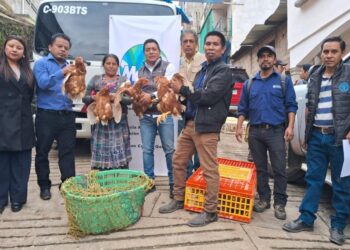 Beneficiarios del CADER reciben gallinas ponedoras