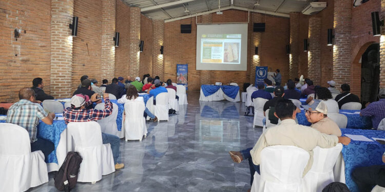 Brindan acciones de resiliencia ante el cambio climático en Huehuetenango