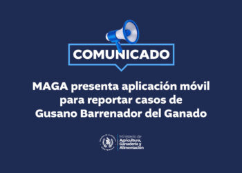 MAGA presenta aplicación móvil para reportar casos de Gusano Barrenador del Ganado