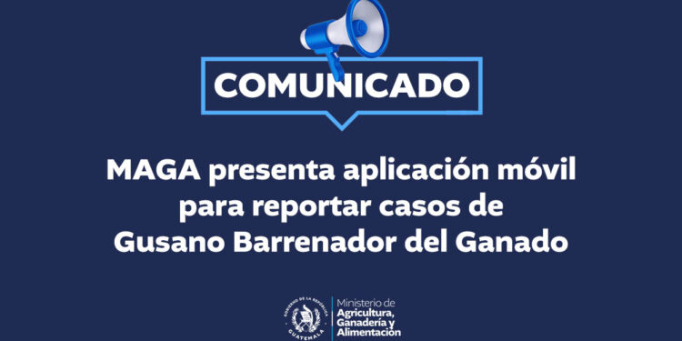 MAGA presenta aplicación móvil para reportar casos de Gusano Barrenador del Ganado
