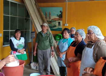 El queso de pita contribuye con la seguridad alimentaria