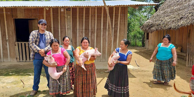 Entregan cerdos para fortalecer producción pecuaria de familias de San Luis