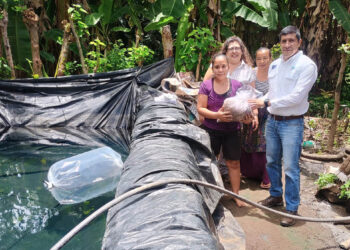 Entregan dos mil alevines de tilapia a familias de Escuintla
