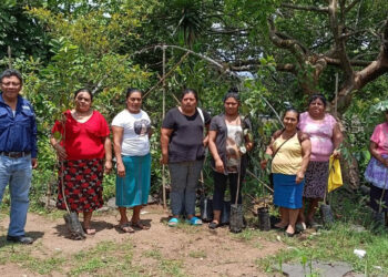 Entregan plantas frutales de guanaba en Villa Canales para diversificación agrícola