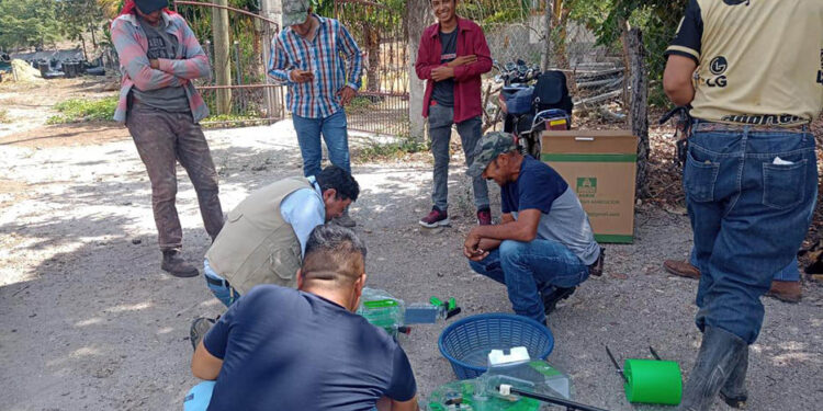 Entregan sembradoras manuales a productores de oriente para mejorar eficiencia agrícola