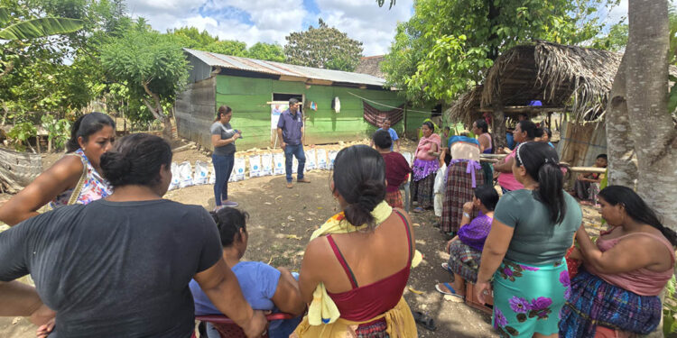 Entregan semillas de maíz a los agricultores de San Francisco