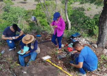 Estudios de suelos contribuyen a mejorar la producción agrícola