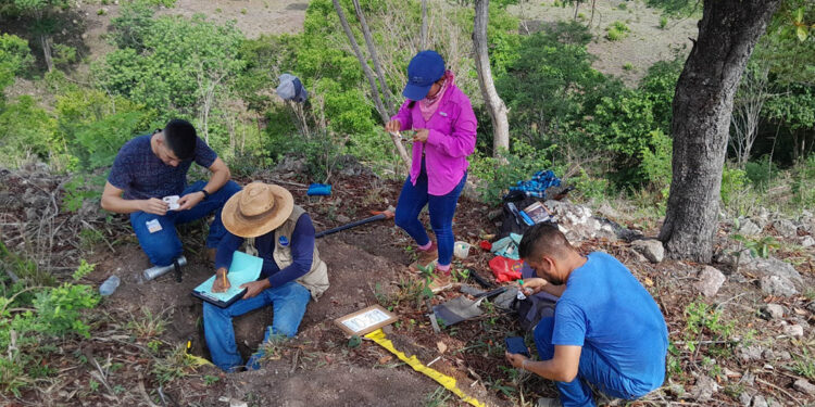 Estudios de suelos contribuyen a mejorar la producción agrícola
