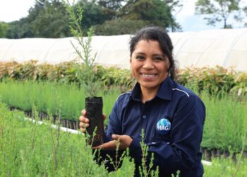 Extensionismo rural, la mano amiga para el desarrollo agropecuario